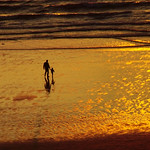 Ballade d&eacute;couverte.