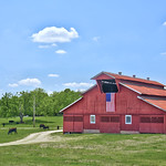 Patriotic Rural Americana - Williamson County, Tennessee