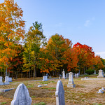 High Street Cemetery, Autumn 2022