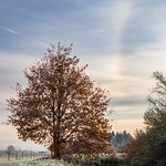 Cold sunny afternoon