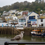 Looe