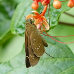 I&rsquo;m so so hungry!!