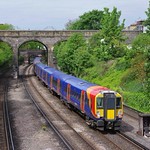 Putney Juniper 20170429--007