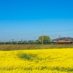 HRDE 151 057 (162.004 - Fitzcarraldo) | Ovelg&uuml;nne