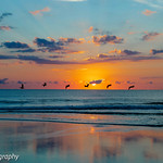 Vilano Beach Sunrise Pelicans