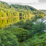 River Oude in a lush wooded valley after sunrise, Argyll, Scotland.
