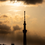 Tokyo Skytree Silhouette