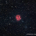 Cocoon Nebula (IC5146, Cropped)
