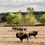 Last Warm Days Before the Winter Coat