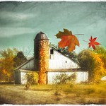 Autumn winds&hellip;.