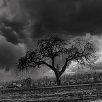 The lull before the storm (Explore)