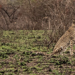 Surveying the landscape