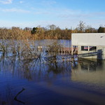 Hochwasser in Magdeburg an der Elbe