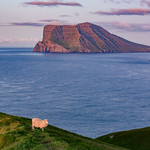 Faroe