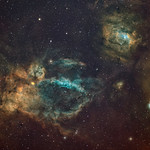 The Lobster, Doormouse and the Bubble