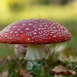 That time of the year