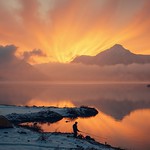 a tranquil surrender to the quiet majesty of the wild