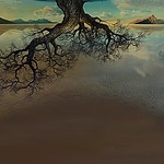 The world turned upside down