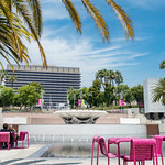 Summer in Central Park, Los Angeles, CA