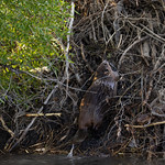 Home Maintenance_F6A3252