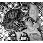 The art of doing nothing