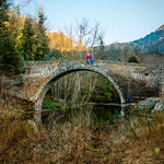 Welcome back autumn, we were waiting for you! 🍁🎃🍂🍄