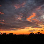 Vibrant sunset over silhouetted trees on the shore of the Lake V&otilde;rtsj&auml;rv near Valma, Viljandimaa, Estonia, June 2019