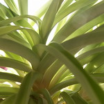 things are looking up