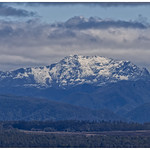 "Cradled in Snow..."