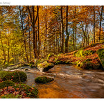 Le couzon [Puy de D&ocirc;me]