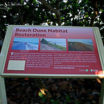 Stop following OTHERS!