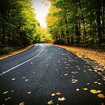 Follow the yellow leaf road...