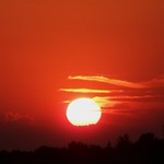 Claws attack the sun!