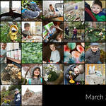 march mosaic