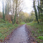 Tracing the MSWJR Line