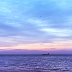 The Seagull and Ship