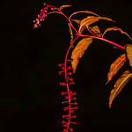 What darkness hides....