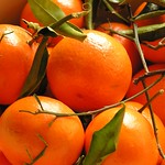 Mandarines