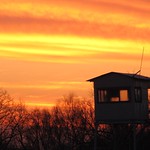 Lodge (series) ( in Explore )