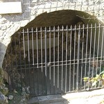 Jardin des plantes - Montpellier (34)