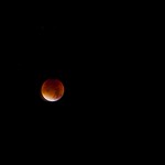 BloodMoon