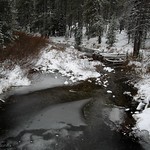 Frozen Stream