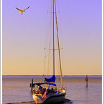 a journey of a thousand miles, grasshopper..