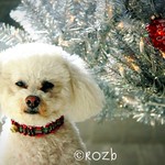 Keep Calm and Carry On