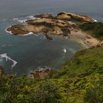 Gleichenia ?rupestris, Banksia integrifolia ssp integrifolia and ?basalt rocks, Indian Head, Crowdy Bay National Park, S of Port Macquarie, NSW, 11/01/12
