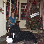 Sue in the Library Room