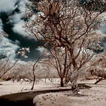 An unusual path to the unexplored