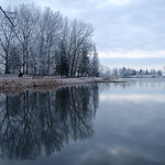 Frosty Walk in the Park