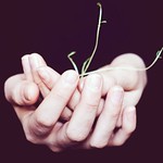 I got life in my hands