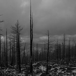 Bryce Park facing west
